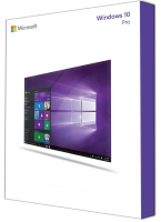 Microsoft Windows 10 Professional