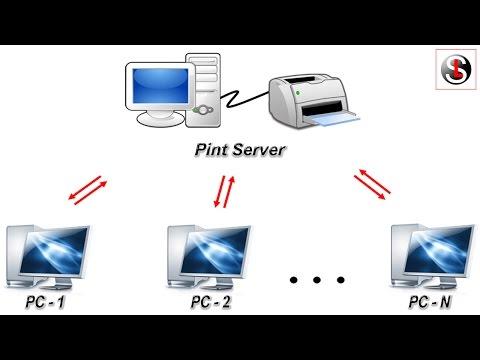 Установка общего доступа к принтеру в локальной сети на Windows