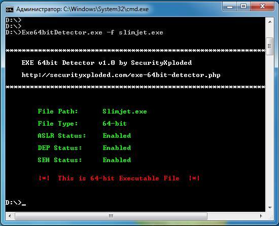 Пример использования exe 64bit detector 