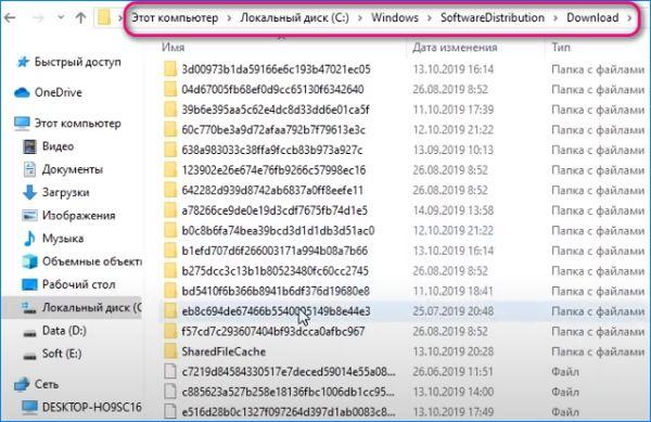 13 SoftwareDistribution