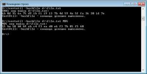 123-certutil-hashfile