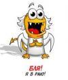 RAЙ