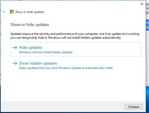 Выбор функции в Show or hide updates