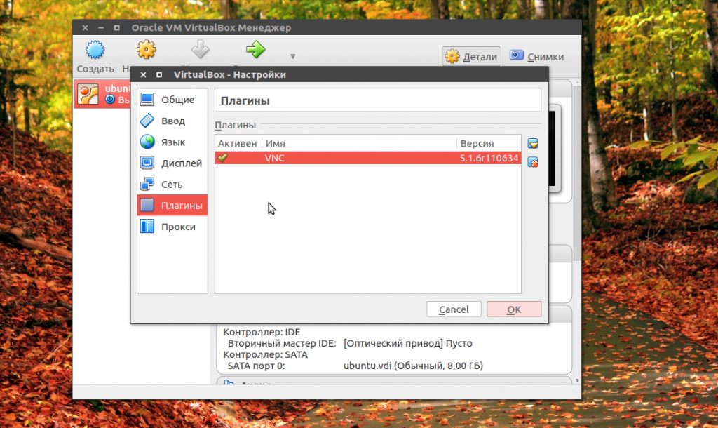 virtualbox1 1
