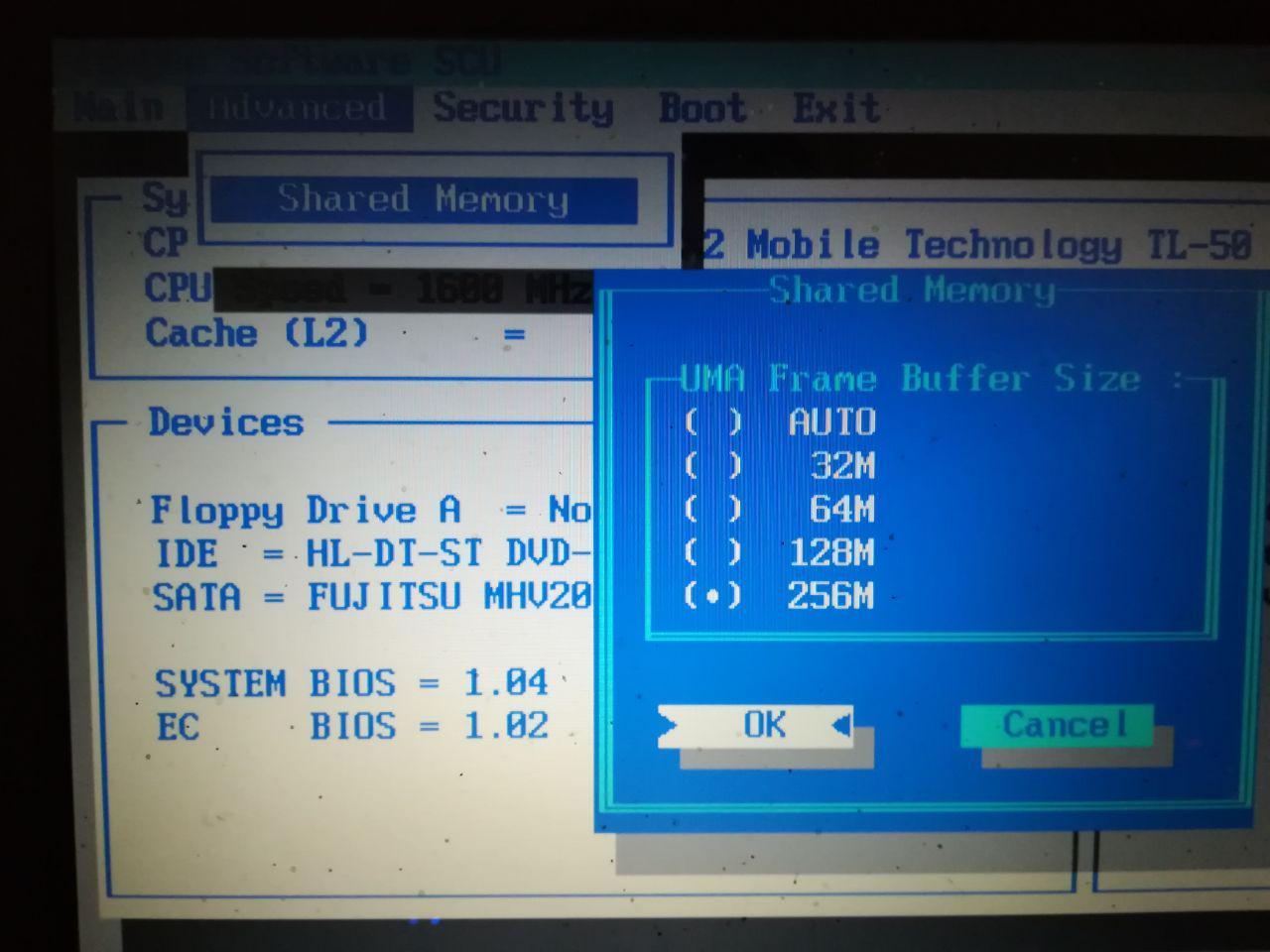 BIOS включить Video RAM