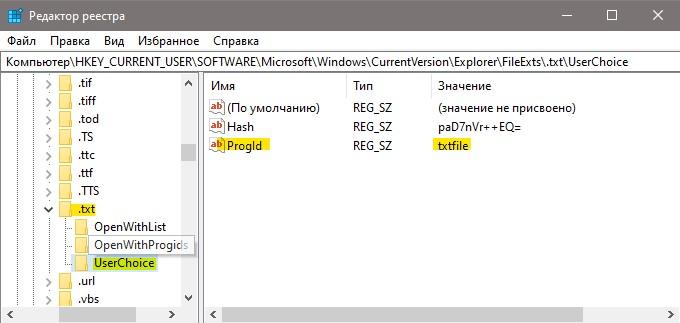 программное значение файла txt