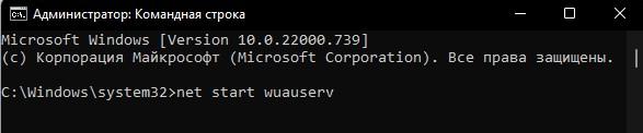 net start wuauserv
