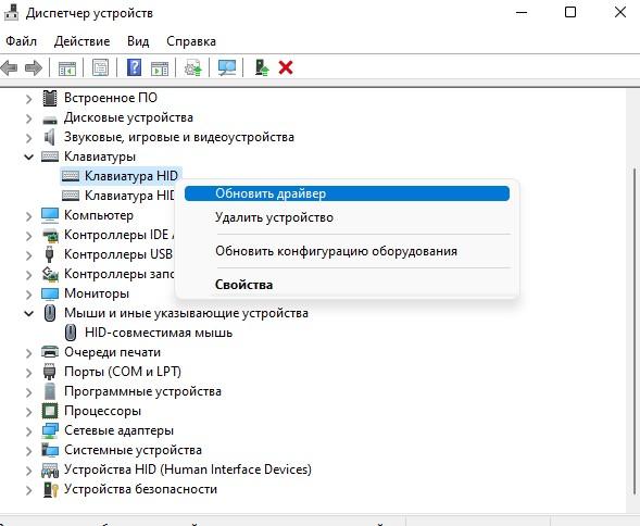 обновить драйвер клавиатуры и мыши