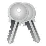 windows key