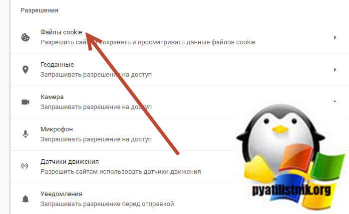 Файлы cookie google chrome