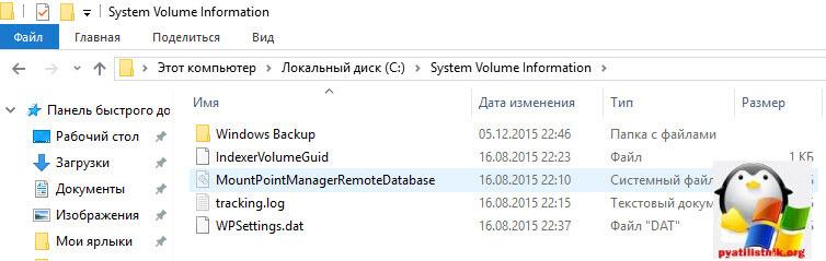 Что это за папка system volume information-4
