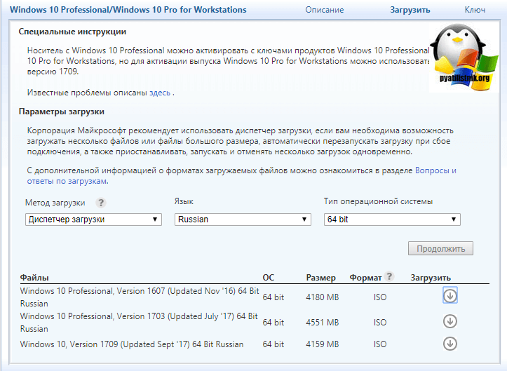 Windows 10 Professional, Version 1607 (Updated Nov '16) 64 Bit Russian