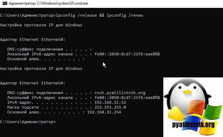 ipconfig /release && ipconfig /renew