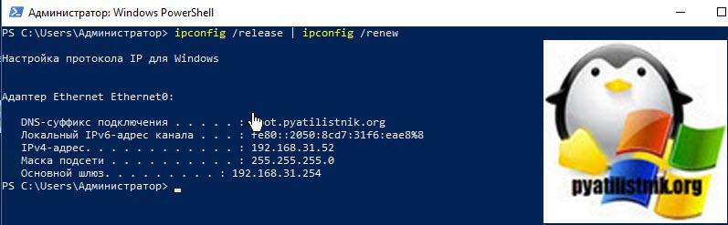 powershell как обновить ip