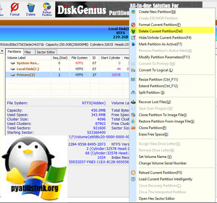 Как удалить том в DiskGenius Professional 5