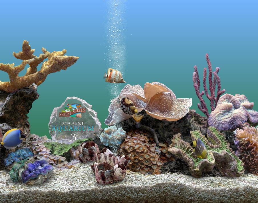 Marine.Aquarium.3.2.60251