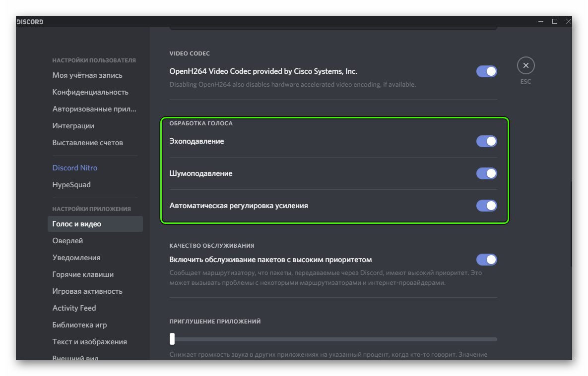 Блок Обработка голоса на странице настроек в Discord
