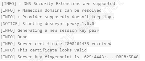 dns vpn