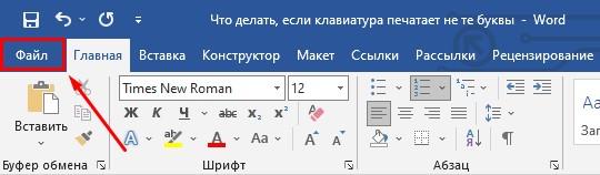 Раздел «Файл»
