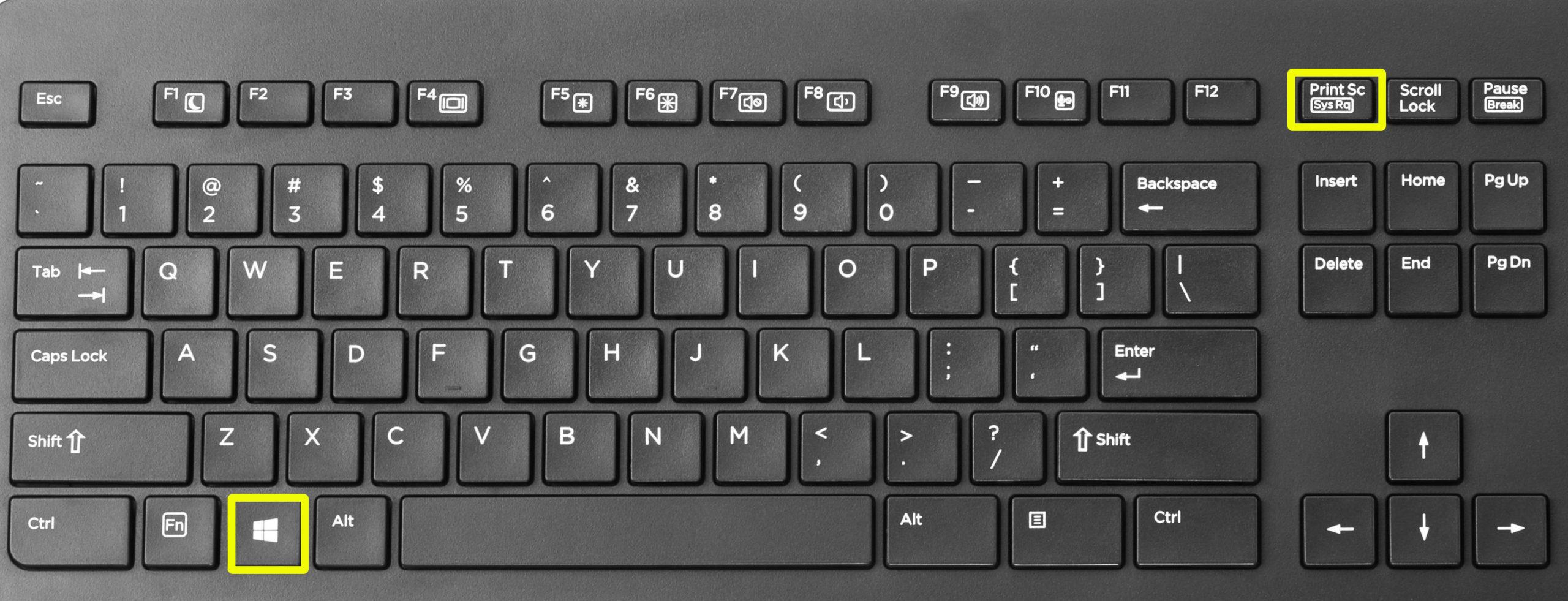 Как сделать скриншот в Windows 10: делаем снимок экрана