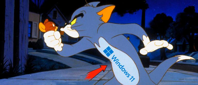 Как настроить чувствительность мыши на Windows 11
