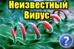Virusyi-naydenyi.jpg