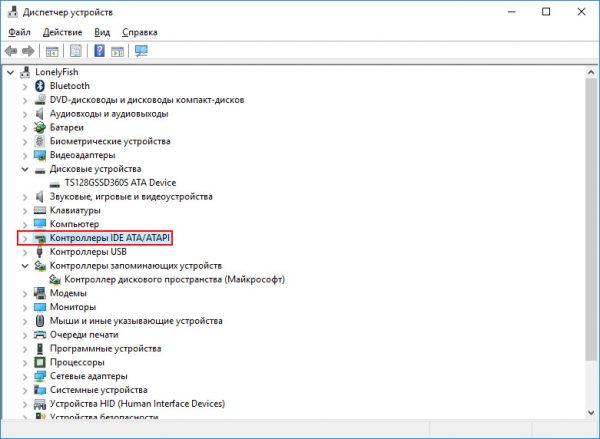 Раздел контроллеров дисков в диспетчере устройств