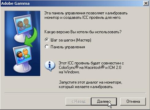 Выбор типа использования Adobe Gamma