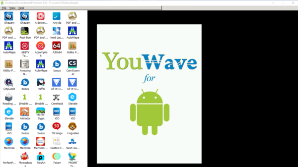 Окно YouWave
