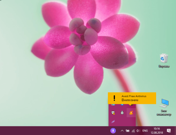 Трей Windows