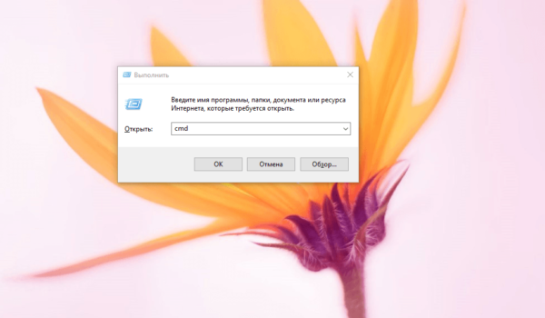 Команда cmd