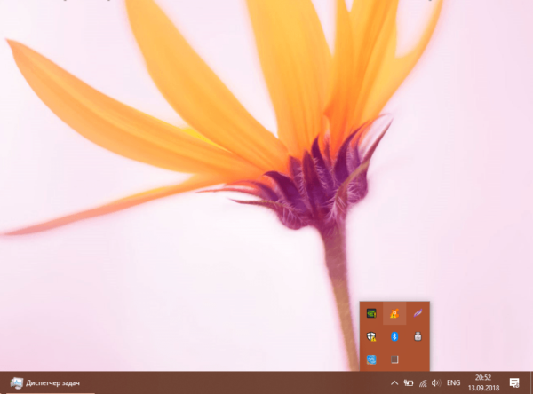 Трей Windows