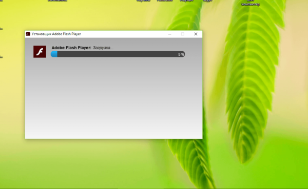Установка Adobe Flash Player
