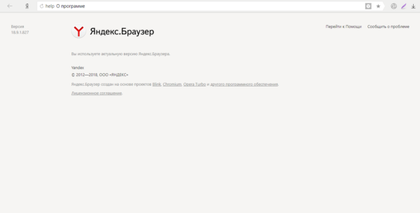 Раздел «О браузере»