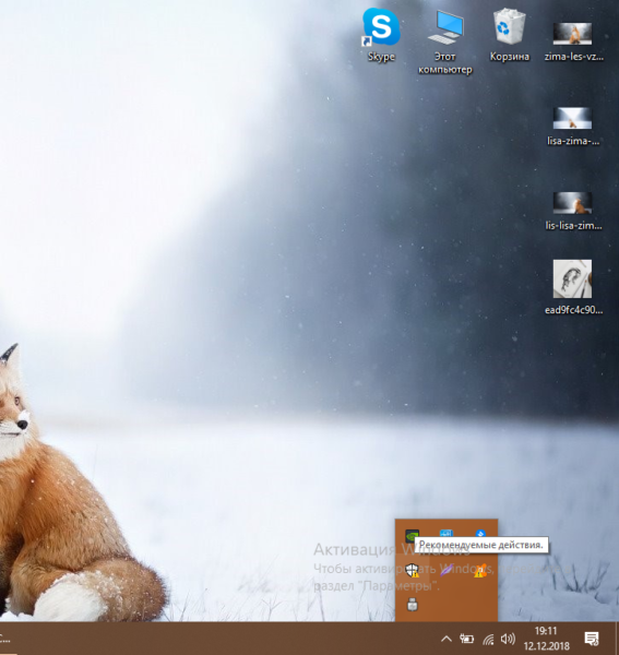Трей Windows
