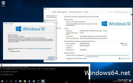 1484407695 1476180844 1470161430 windows2