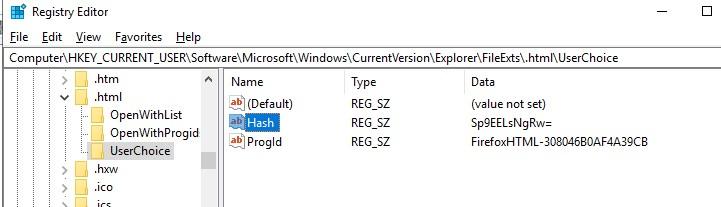 FileExts UserChoice reestr associacii failov