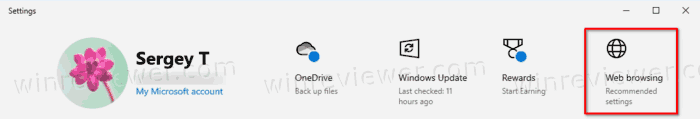 Web Browsing Edge Icon In Header Of Settings