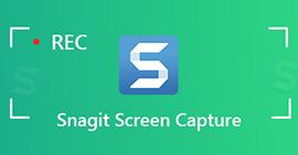 Snagit Screen Captur