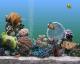 скачать Marine Aquarium